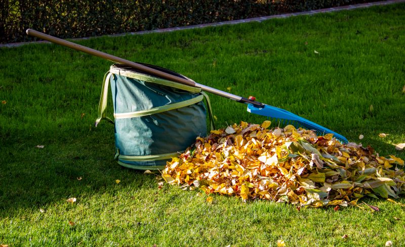 Efficient Leaf Collection