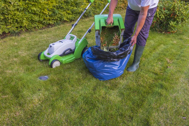 Lawn Mowing Techniques