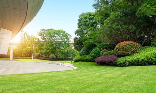 Commercial Lawn Mowing in Alexandria