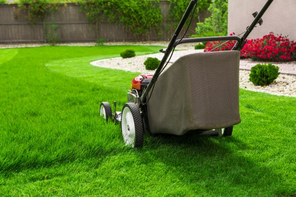 Lawn Mowing in Alexandria