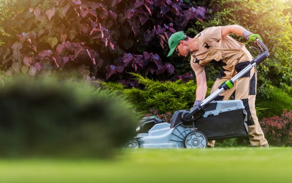 Yard Care Service in Alexandria