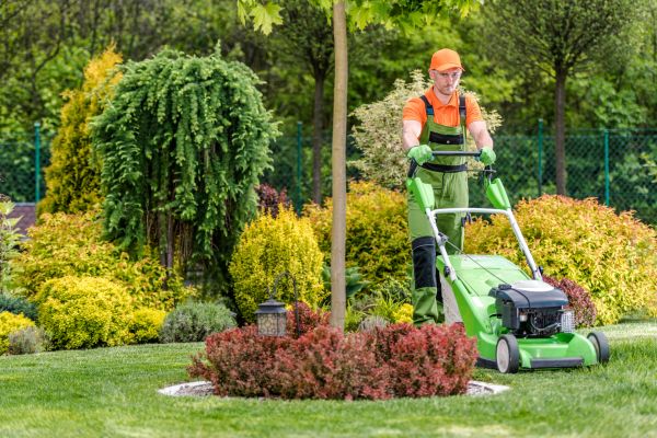 Yard Service