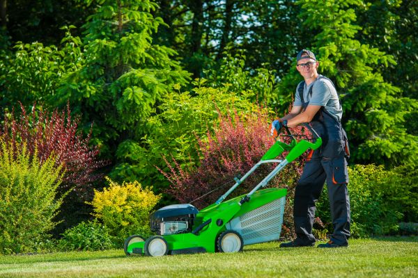 Yard Work Service in Alexandria