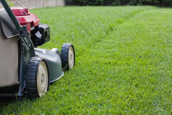 Residential Lawn Care in Alexandria