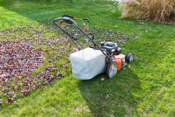 Seasonal Lawn Care in Alexandria
