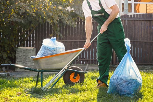 Yard Cleaning in Alexandria
