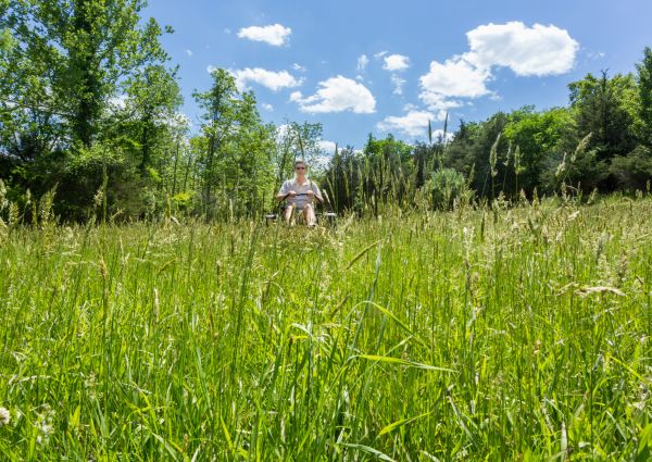 Long Grass Mowing in Alexandria