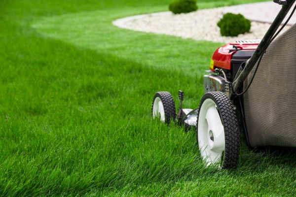 Lawn Trimming in Alexandria