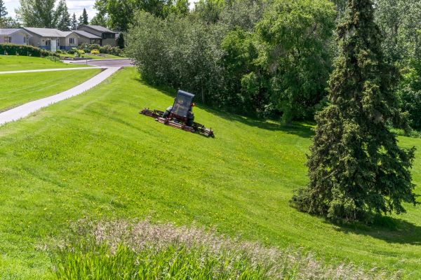 Hill Mowing in Alexandria
