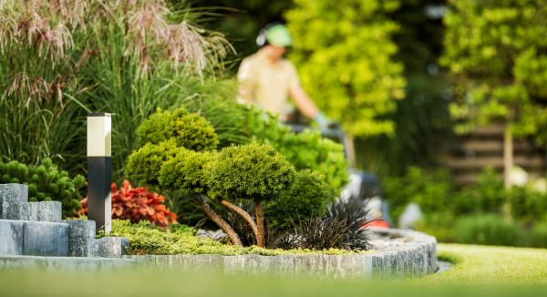 Residential Yard Maintenance in Alexandria