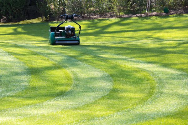 Business Lawn Mowing in Alexandria