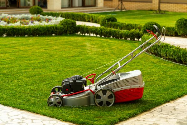 Business Grass Cutting in Alexandria