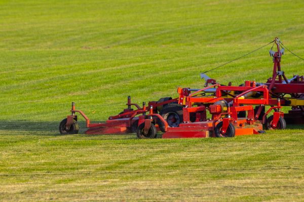 Industrial Lawn Service in Alexandria