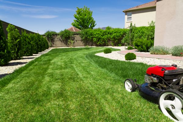 Residential Lawn Mowing in Alexandria